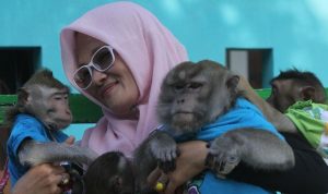Andiani, seorang pecinta satwa yang mengurus monyet-monyet terlantar di Karawang. (Rifkianto Nugroho)