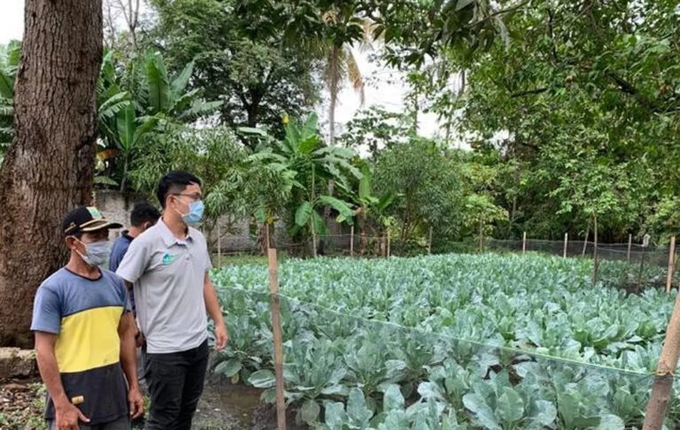 Cerita Sukses  Petani  Hortikultura di Karawang Hasil Kerja 