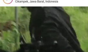 Korban Rekam Pria Pamer Kelamin di Karawang, Bisa Terjerat UU Pornografi-ITE?