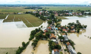 1.085 Hektar Sawah di Karawang Kena Banjir, Petani Peserta Asuransi Pertanian Bisa Ajukan Klaim