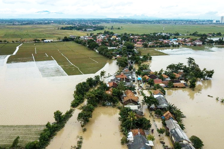 1.085 Hektar Sawah di Karawang Kena Banjir, Petani Peserta Asuransi Pertanian Bisa Ajukan Klaim