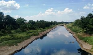 Sungai Citarum Kembali Menghitam, Berbau, Ikan-ikan Mati, Dinas Lingkungan: Hanya Tercemar Ringan