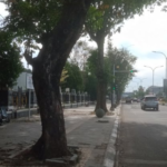 Jalur Pedestrian Di Karawang Rusak Tak Terawat, Pemkab Dianggap Cuma Buang-Buang Duit